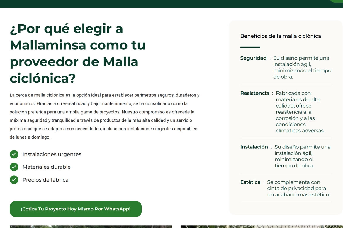 Caso de Éxito: Optimización Web y SEO para Seguridad Perimetral (Malla Minsa)